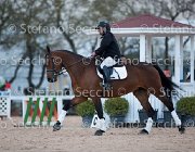 Novella del Castegno Tosc Tour2013- S5 1884 : Arezzo, Cavalli d'Italia, Novella del Castegno, Toscana Tour 2013, foto di Stefano Secchi ©